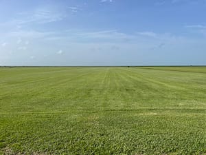 Sod Farm