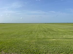 Sod Farm